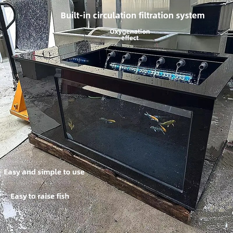 XL ブラック サイドフィルター付き水槽、超透明鯉水槽、装飾 - Xl Aquarium Fish のレビューと価格