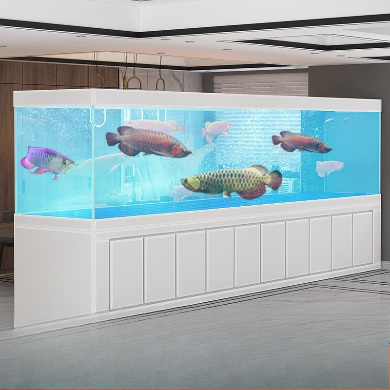 大型金龍水槽 アクアリウム リビングルーム オフィス スクリ - Aquarium Xxl のレビューと価格