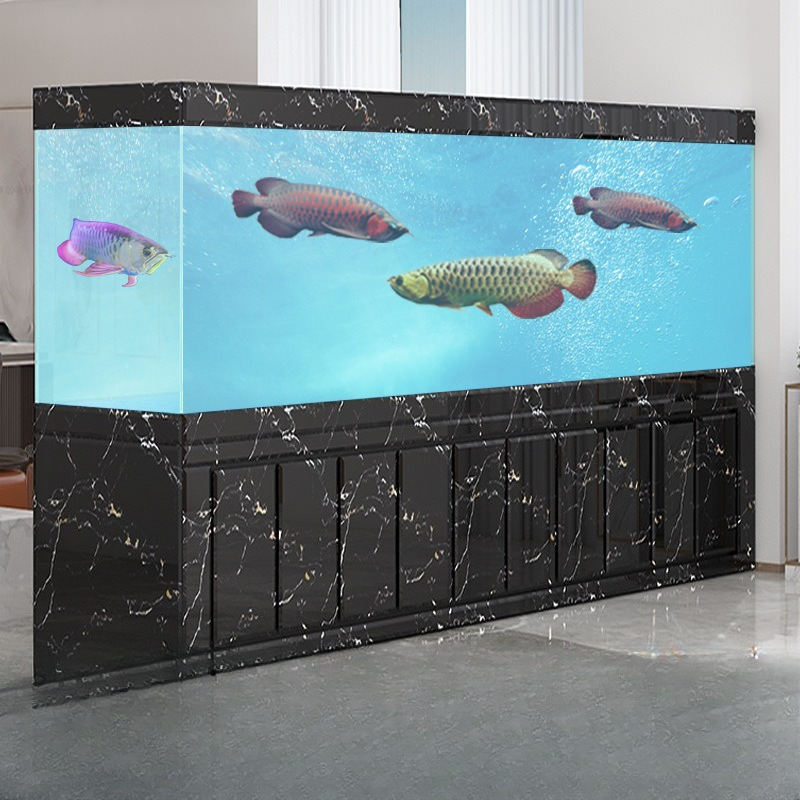 大型金龍水槽 アクアリウム リビングルーム オフィス スクリ - Aquarium Xxl のレビューと価格