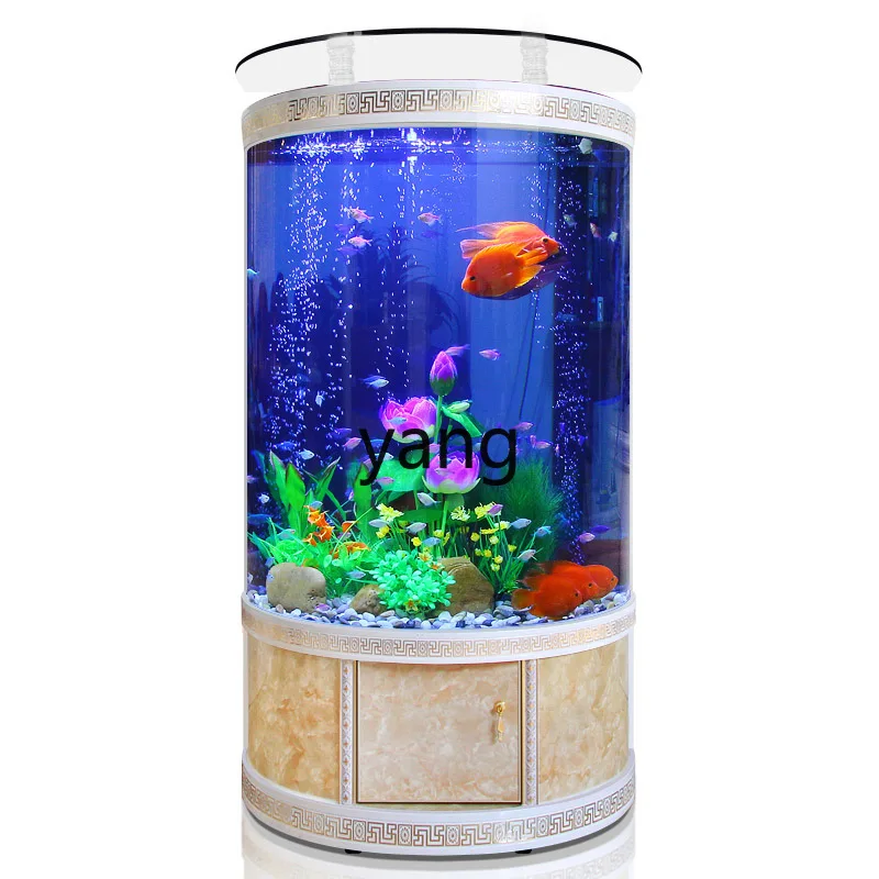 LTT半円形水槽 アクアリウム リビングルーム 床置き 天井 - Aquarium Xxl のレビューと価格