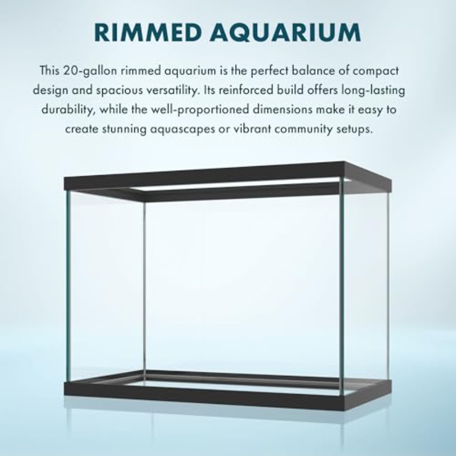 20ガロンガラス水槽 - 24 x 12.5 x 17.25 - Aquarium Xxl のレビューと価格