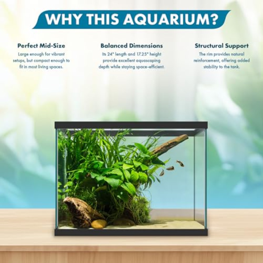 20ガロンガラス水槽 - 24 x 12.5 x 17.25 - Aquarium Xxl のレビューと価格