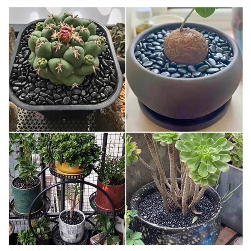 ホワイト&ブラックポリッシュリバーロック200g-400g、 - Aquarium Decoration Rock のレビューと価格