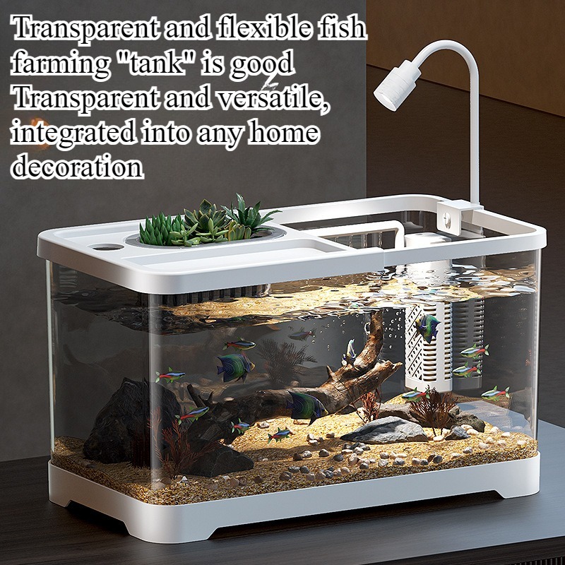 水槽 家庭用水槽 リビングルーム 卓上 生態循環水槽 フィル - Aquarium Xxl のレビューと価格