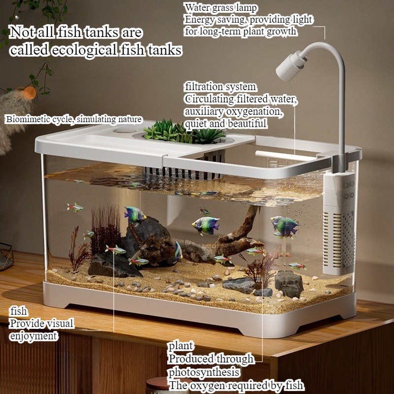 水槽 家庭用水槽 リビングルーム 卓上 生態循環水槽 フィル - Aquarium Xxl のレビューと価格