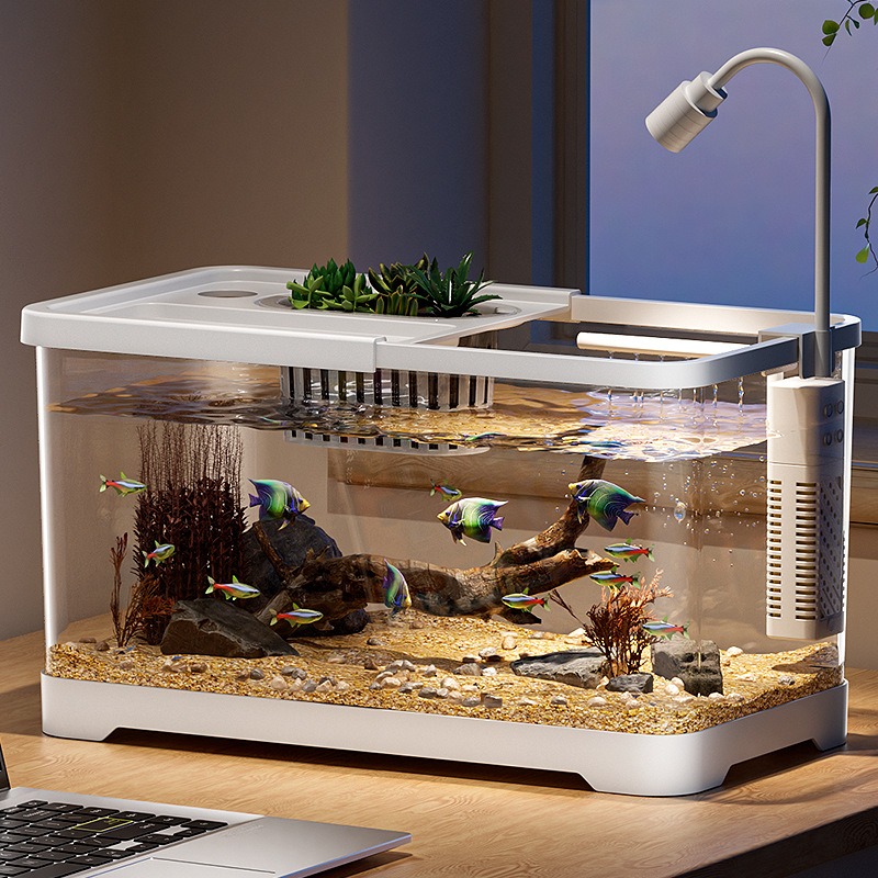 水槽 家庭用水槽 リビングルーム 卓上 生態循環水槽 フィル - Aquarium Xxl のレビューと価格