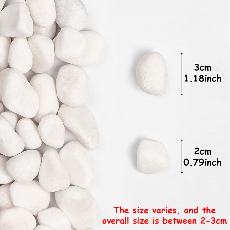 200/400g ホワイト高研磨天然玉石 2-3cm 中庭景 - Aquarium Decoration Rock のレビューと価格