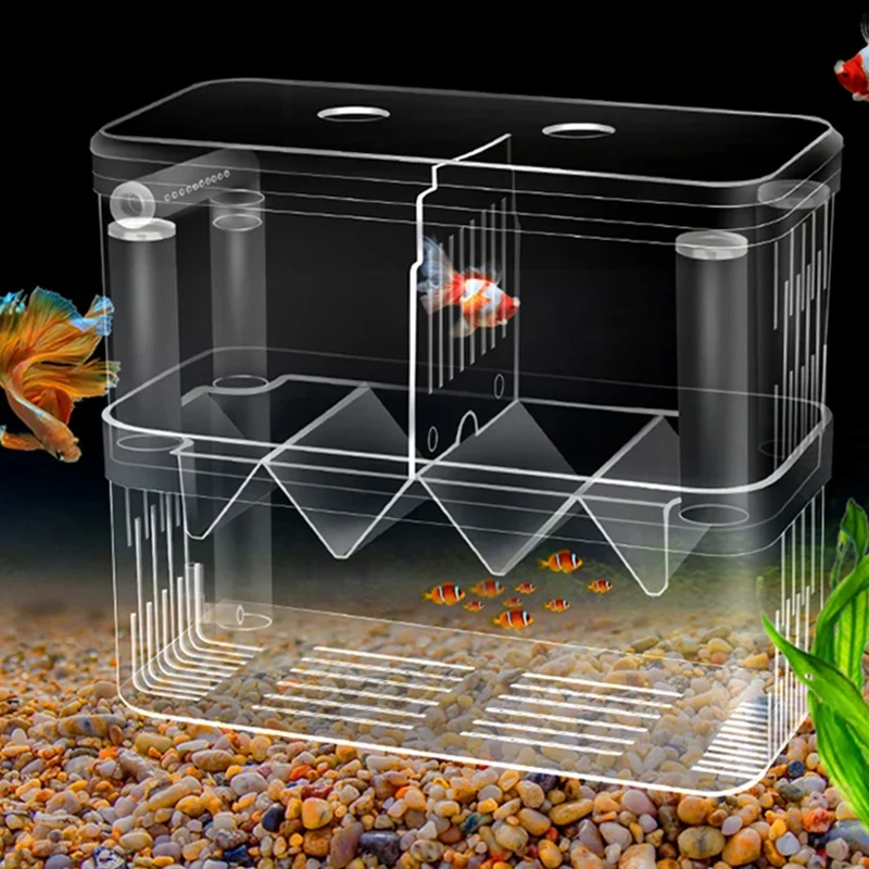 魚の繁殖隔離ボックス S/L/XL 水族館アクリルダブルデッ - Xl Aquarium Fish のレビューと価格