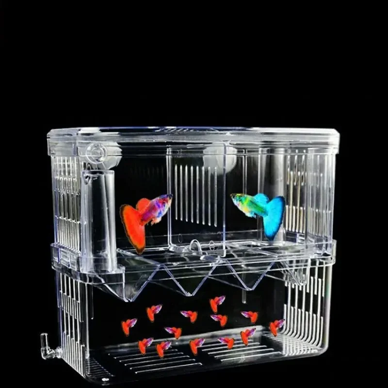 魚の繁殖隔離ボックス S/L/XL 水族館アクリルダブルデッ - Xl Aquarium Fish のレビューと価格