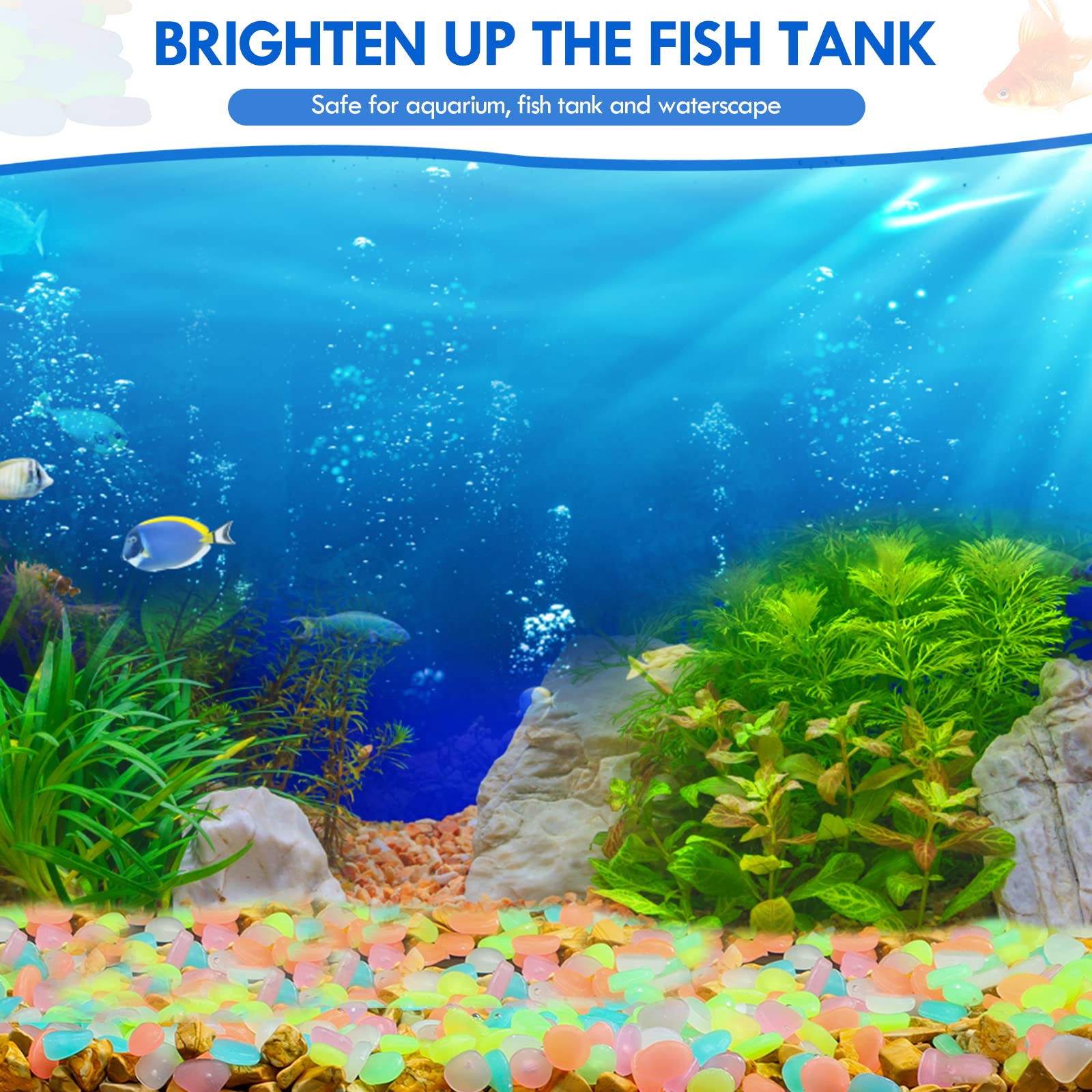 100 個暗闇で光る庭の小石歩道ガーデンテラス芝生庭パティオ - Aquarium Decoration Rock のレビューと価格