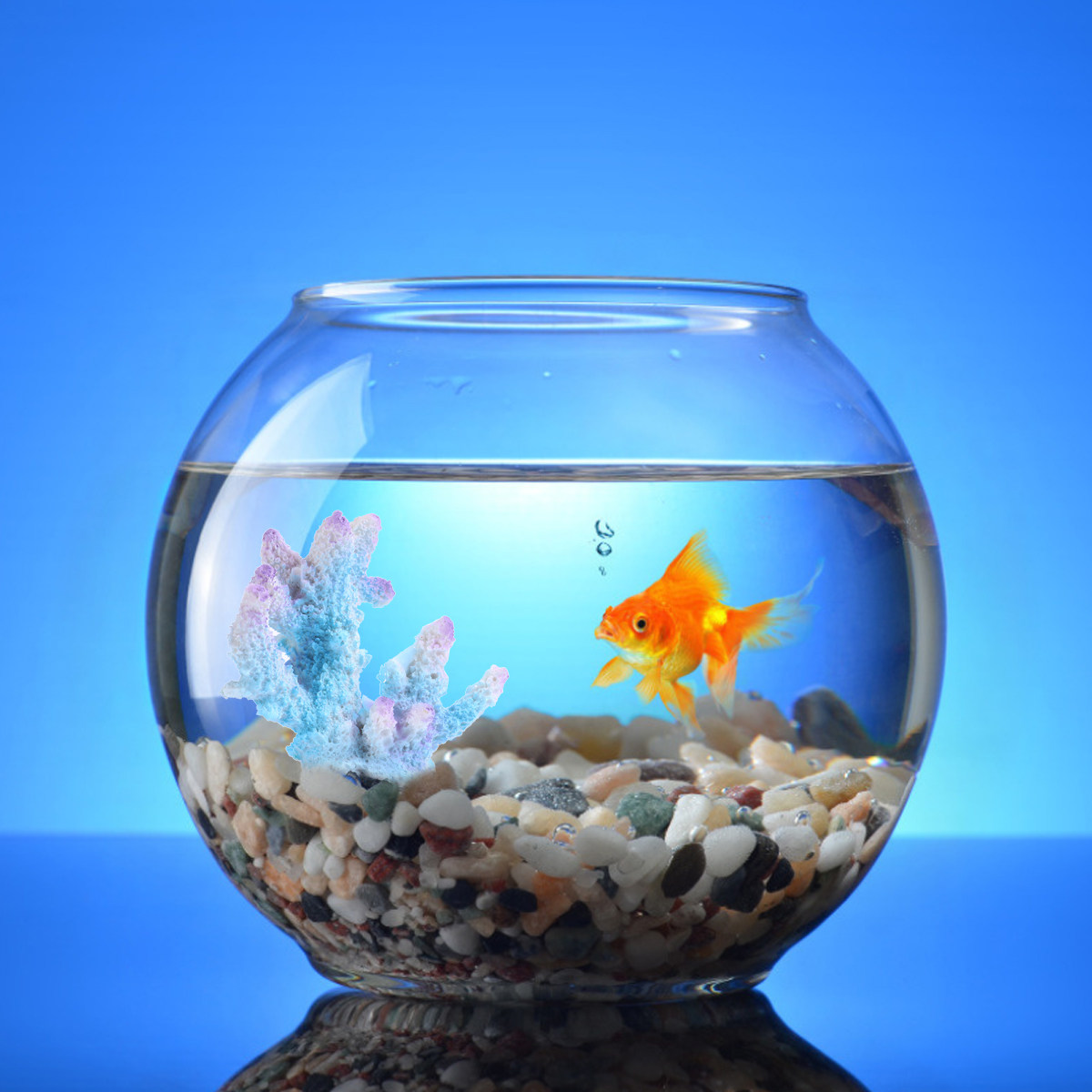 Xl-S1718 リアルな樹脂製サンゴ水槽飾り、安全な淡水・ - Xl Aquarium Fish のレビューと価格