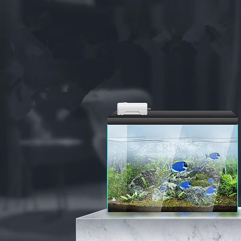 220 V/110 V 3 ワット/8 ワット/12 ワット - Xl Aquarium Fish のレビューと価格
